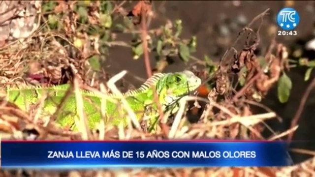 Guayaquil Oculto: Zanja lleva más de 15 años con malos olores