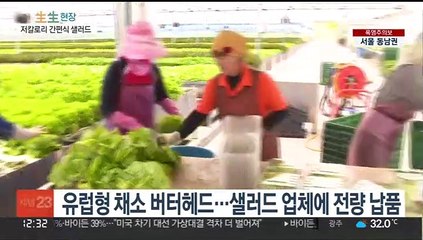 "먹어도 살 안 찐다"…저칼로리 간편식 샐러드 인기
