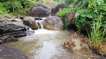 Beautiful Waterfall Deep In The Forest In Vietnam  - Peaceful Natural Scenery