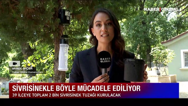 İstanbul'da sivrisinek kabusu! İşte en yoğun oldukları ilçeler