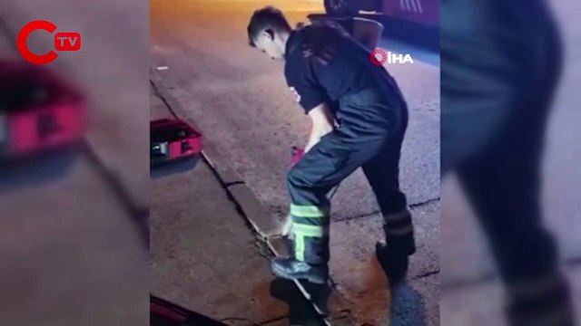 Yaramaz kedinin imdadına itfaiye ekipleri yetişti