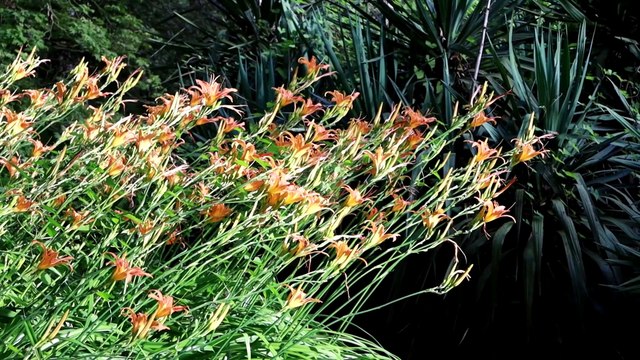 Al Giardino di Ninfa quattro giovani scrittori indagano il mistero Pier Paolo Pasolini