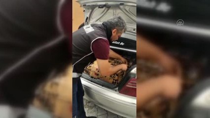 Kaçak içki operasyonunda 5 şüpheli yakalandı