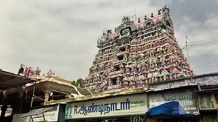 திருநெல்வேலி நெல்லையப்பர் கோவில் யானை காந்திமதியின் காலுக்கு செருப்பு..