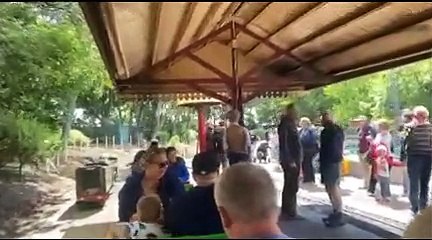 See the sights from the South Shields Lakeshore Railroad