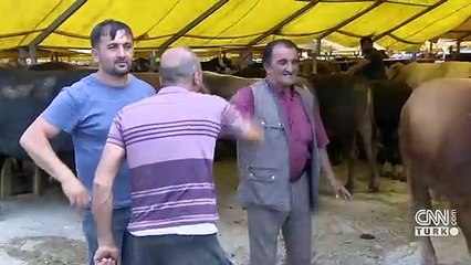 Kurban alış ve satışlarında dolandırıcılara dikkat