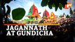 Rath Yatra Postcards - WATCH 3 Chariots Parked Outside Gundicha Temple In Puri - Jagannath At Gundicha