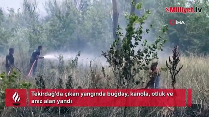 İstanbul - Tekirdağ yolunda yangın