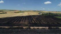Tekirdağ'da 50 dönüm tarım alanı yandı