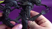 Hiya Toys Alien Colonial Marines Xenomorph Raven Exquisite Mini