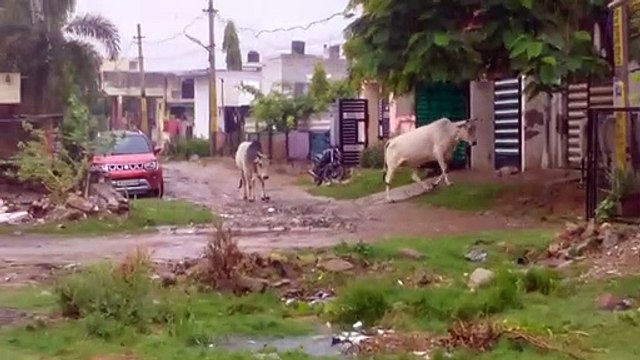 Mansoon-राजधानी जयपुर में बरसात, कल 18 जिलों में तेज हवा के साथ बरसात का यलो अलर्ट