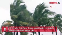Çin’de yılın ilk tayfunu Chaba karaya ulaştı