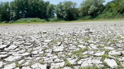 Siccita', il grande caldo mette a rischio la palude di Colfiorito