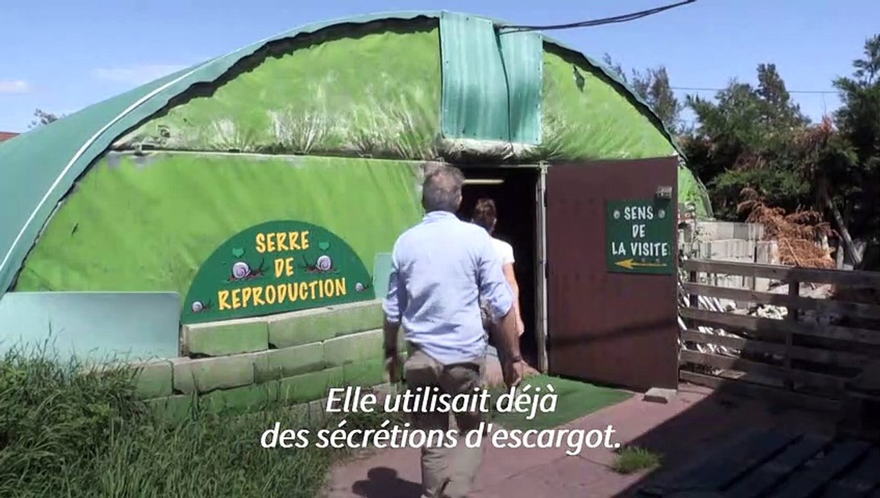 Dans la Drôme, la bave d'escargot bio, nouveau...