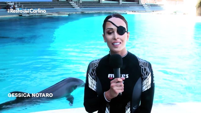 Gessica Notaro torna ad addestrare i delfini a Riccione