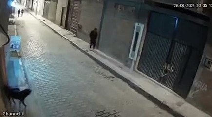 Karma instantáneo al intentar patear a un perro