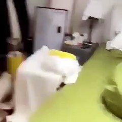 Cute cats videos shorts cats littelcat bestcat catlover