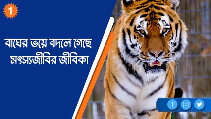 জঙ্গল জীবন ছেড়ে পদ্মচাষে মন মৎস্যজীবি সুকুমারের |OneIndia Bengali