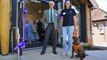 Sussex West RSPCA centre is officially reopened