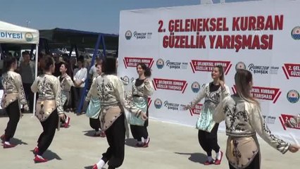 "2. Geleneksel Kurban Güzellik Yarışması" yapıldı