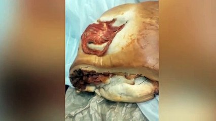 Recheio de barata? Cliente encontra inseto em bauru comprado em Cascavel