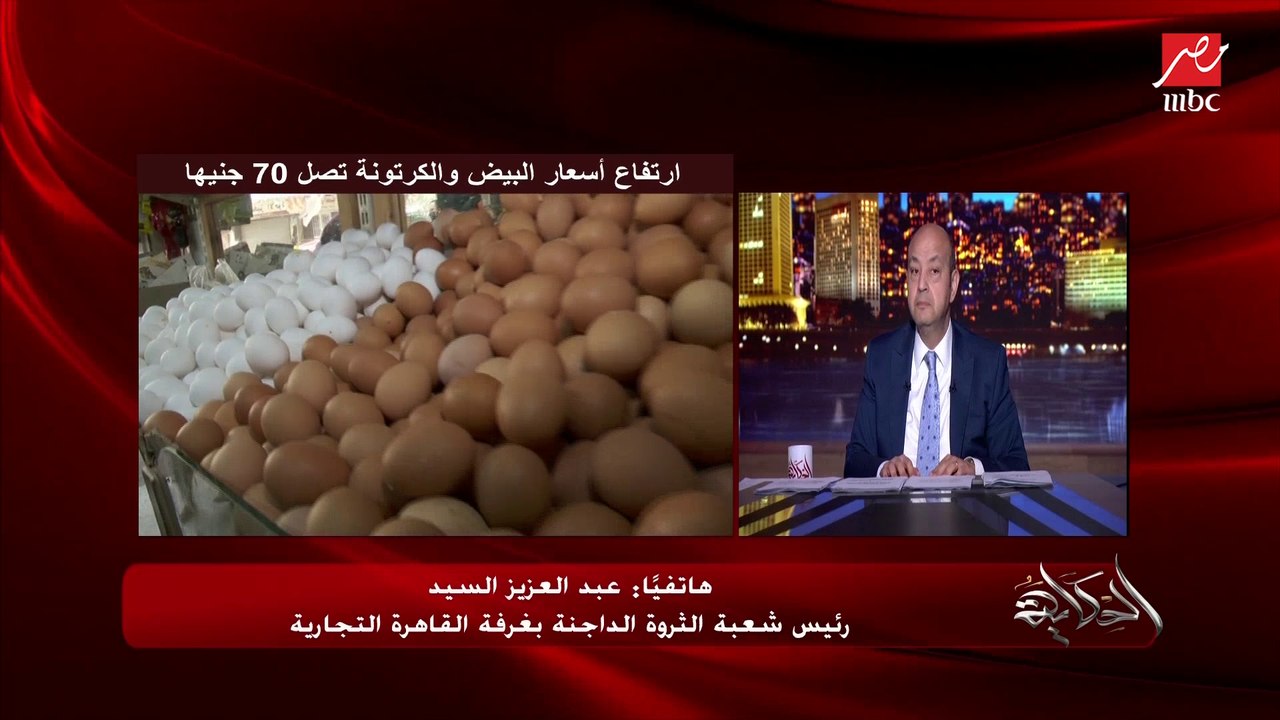 فرق ١٢ جنيه في سعر البيض من سعر المزرعة ولازم انضباط ومراقبة.. اعرف اسباب ارتفاع اسعار البيض .. عبد العزيز السيد رئيس شعبة الثروة الداجنة بغرفة القاهرة التجارية يوضح