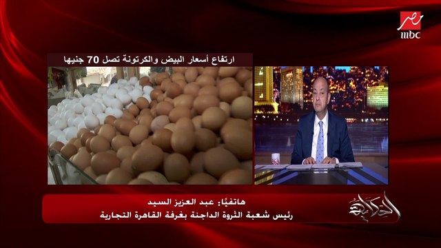 فرق ١٢ جنيه في سعر البيض من سعر المزرعة ولازم انضباط ومراقبة.. اعرف اسباب ارتفاع اسعار البيض .. عبد العزيز السيد رئيس شعبة الثروة الداجنة بغرفة القاهرة التجارية يوضح
