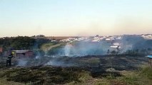 Bombeiros combatem incêndio ambiental no Universitário