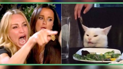 The Real Housewives Ultimate Girls Trip on Peacock | Cat Meme