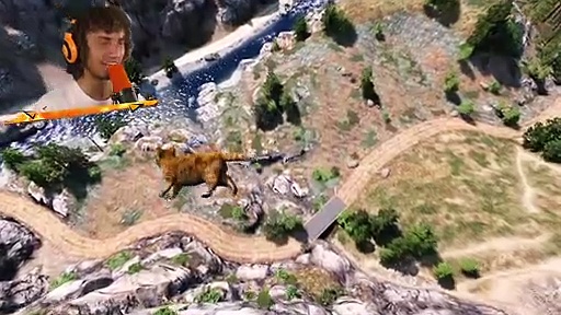 Busting ANIMAL Myths!