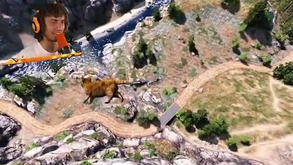 Busting ANIMAL Myths!