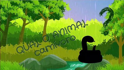 Qual o animal carnívoro? Visualize as sombras e descubra