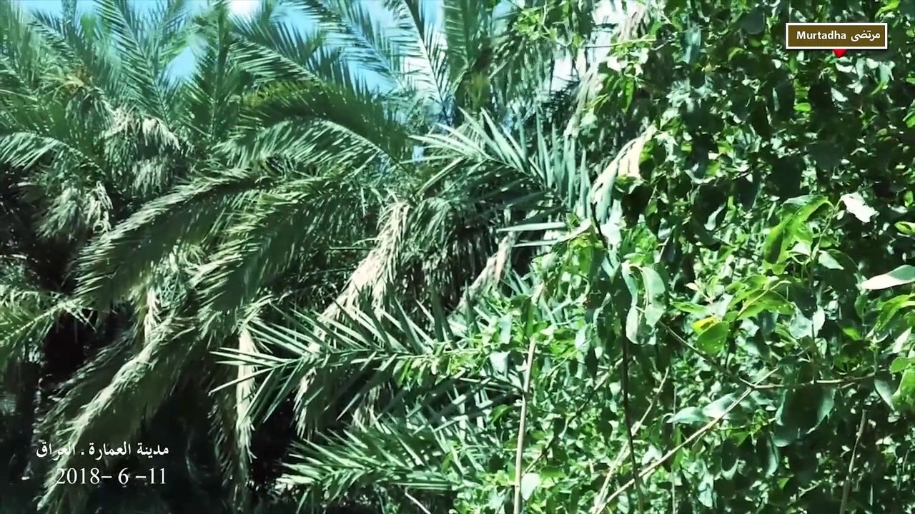 جولة في مدينة العمارة محافظة ميسان العراق- A tour of the city of Al-Amarah, Maysan Governorate, Iraq