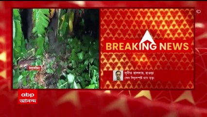 Howrah News: বাড়ি ফেরার পথে ছেঁড়া তারে বিদ্যুত্স্পৃষ্ট হয়ে মৃত্যু যুবকের