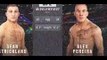 Alex Pereira vs Sean Strickland UFC 276 Full Fight