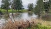 Water rushes along the Macquarie River | ACM | 03/07/2022