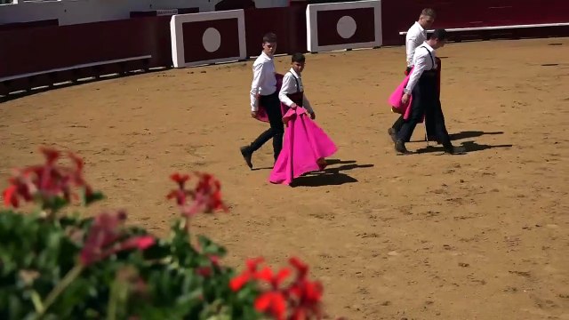 02.07.2022 Soustons Ganaderia Vert Galant Ecole La Marenzina Capea Paseo Final