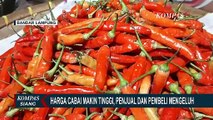 Jelang Hari Raya Idul Adha, Pasokan Cabai di Lampung Sedikit Harga Tembus Rp120 Ribu!