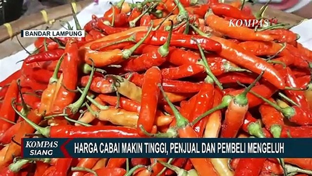 Jelang Hari Raya Idul Adha, Pasokan Cabai di Lampung Sedikit Harga Tembus Rp120 Ribu!