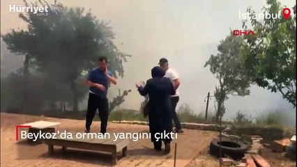 Beykoz'da orman yangını paniği