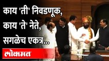 शिंदे-अजितदादा, फडणवीस-पटोले... एकत्र का आले? Maharashtra vidhan sabha speaker election