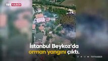İstanbul Beykoz'da orman yangını: Havadan ve karadan müdahale sürüyor