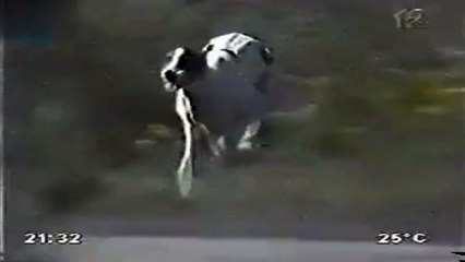 ONDA - Empresa de Omnibus de Uruguay - Publicidad