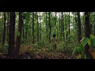 ભાવનગર: ભારે પવન સાથે ધોધમાર વરસાદ