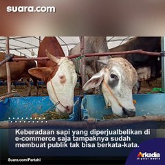 Beli Sapi Qurban di E-Commerce Pakai Pay Later, Warganet: Pahalanya Ditahan