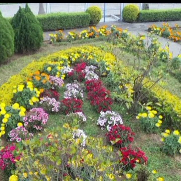খাতড়ার বিখ্যাত পার্ক এর ভিডিও।। না দেখলে আপনি কিন্তুু মিস করবেন