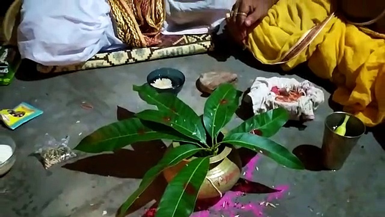 My vagni biye