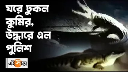 ঘরে ঢুকল কুমির, উদ্ধারে এল পুলিশ