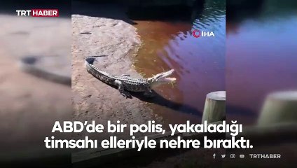 ABD'de bahçeye giren timsahı polisler doğal yaşam alanına bıraktı