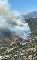 Son dakika haber! İzmir'de iki orman yangını